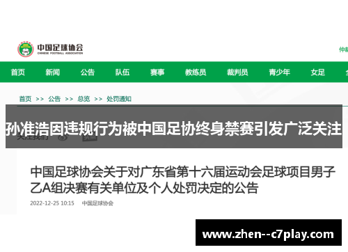 孙准浩因违规行为被中国足协终身禁赛引发广泛关注